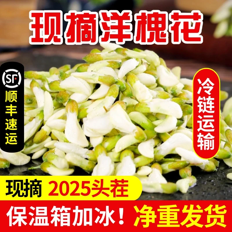 【顺丰包邮】新鲜洋槐花 现摘槐花 槐花骨朵蒸野菜 1/2/3/4斤蔬菜