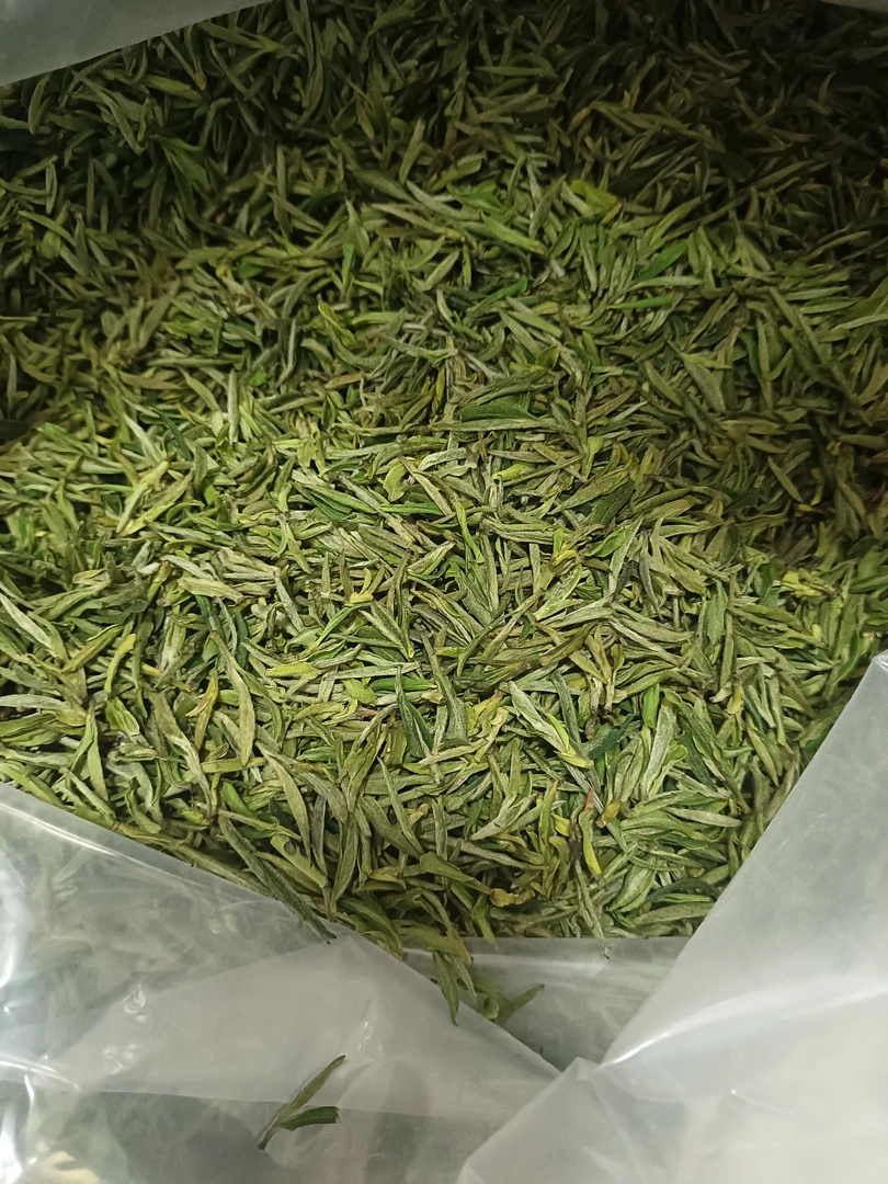 岳西翠兰高山清香醇厚茶叶