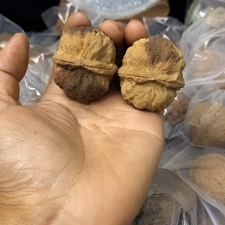 核桃云南铁核桃基地61