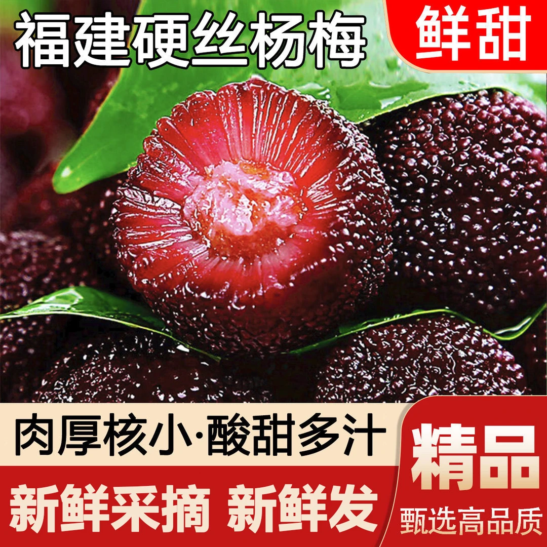 A福建高山杨梅酸甜应季现摘杨梅酸甜多汁半/3/4.5斤