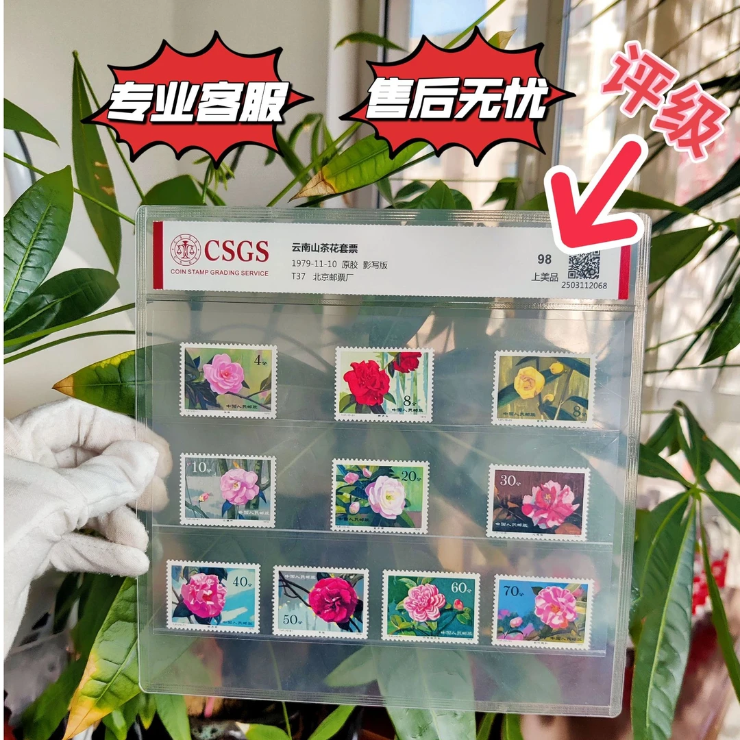 T37山茶花评级邮票