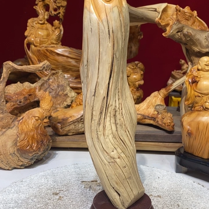 柏木（崖柏）88888888