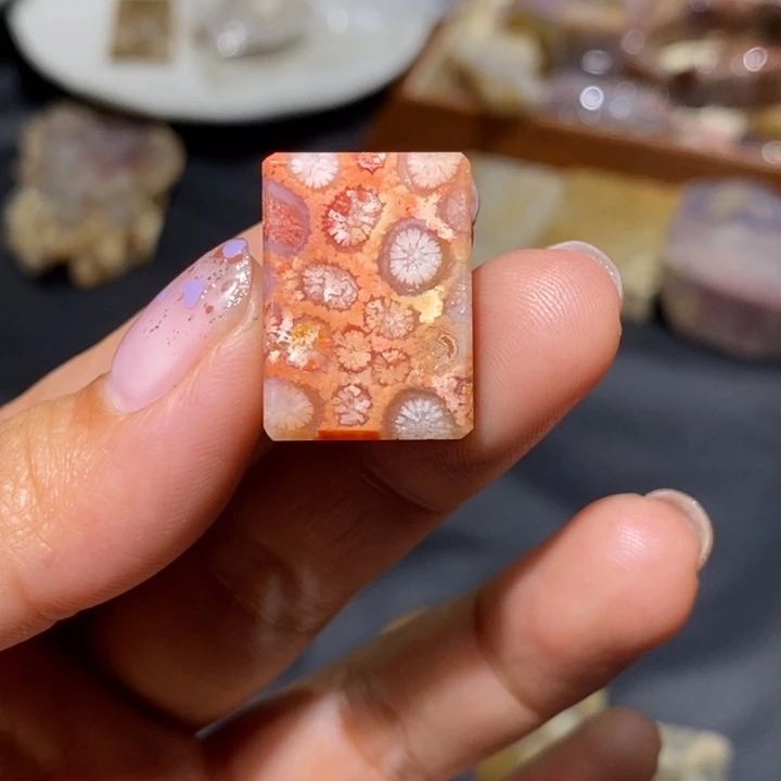 【闪购商品】未镶嵌珊瑚玉硅化玉