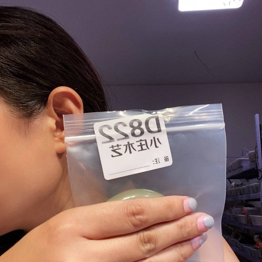 【闪购商品】昔**来黑檀木，风车木822