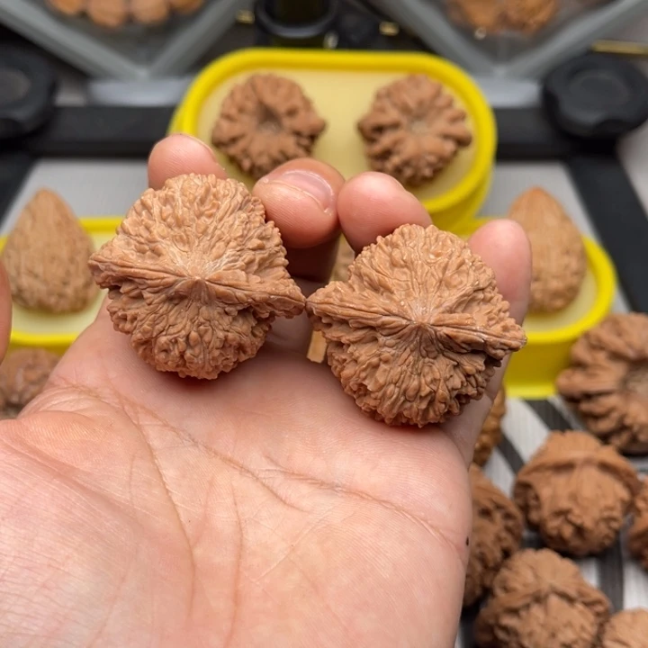 把件文玩核桃满天星42
