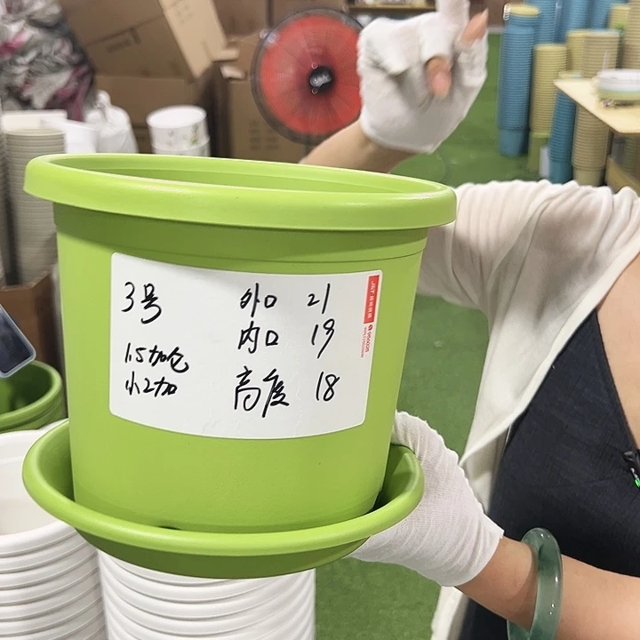 特价3号四季口21高18白色10只无托
