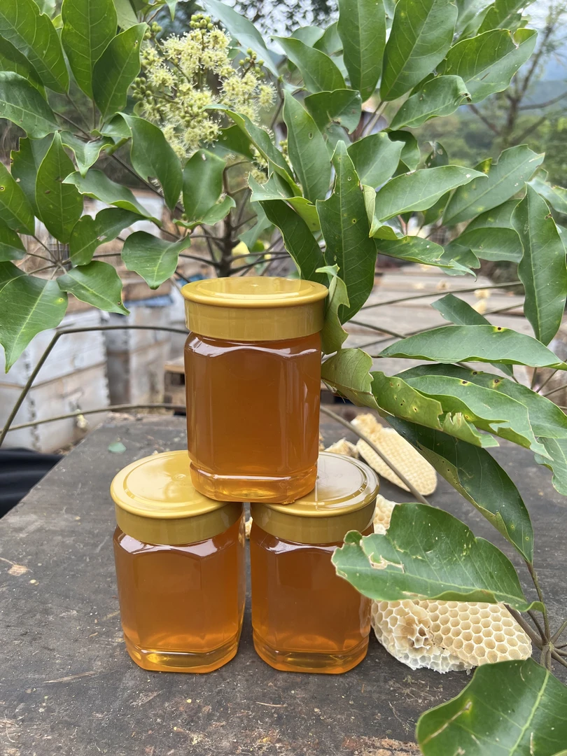 【支持检测】农家自产自销纯正野生鸭脚木微甘菊原蜜自然成熟真蜂蜜