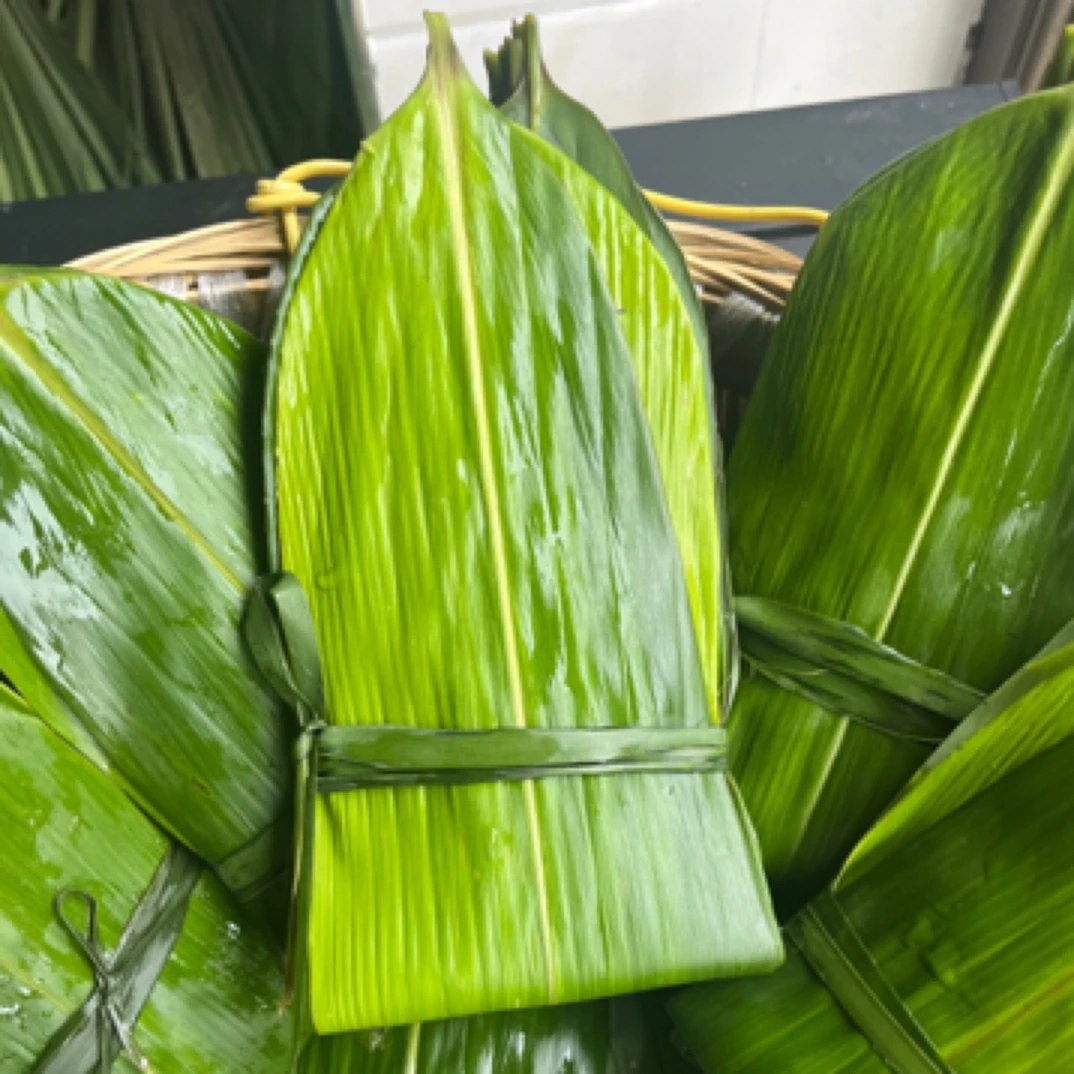 新鲜现采粽叶天然生态适合包粽子专用大宽叶特大号粽叶