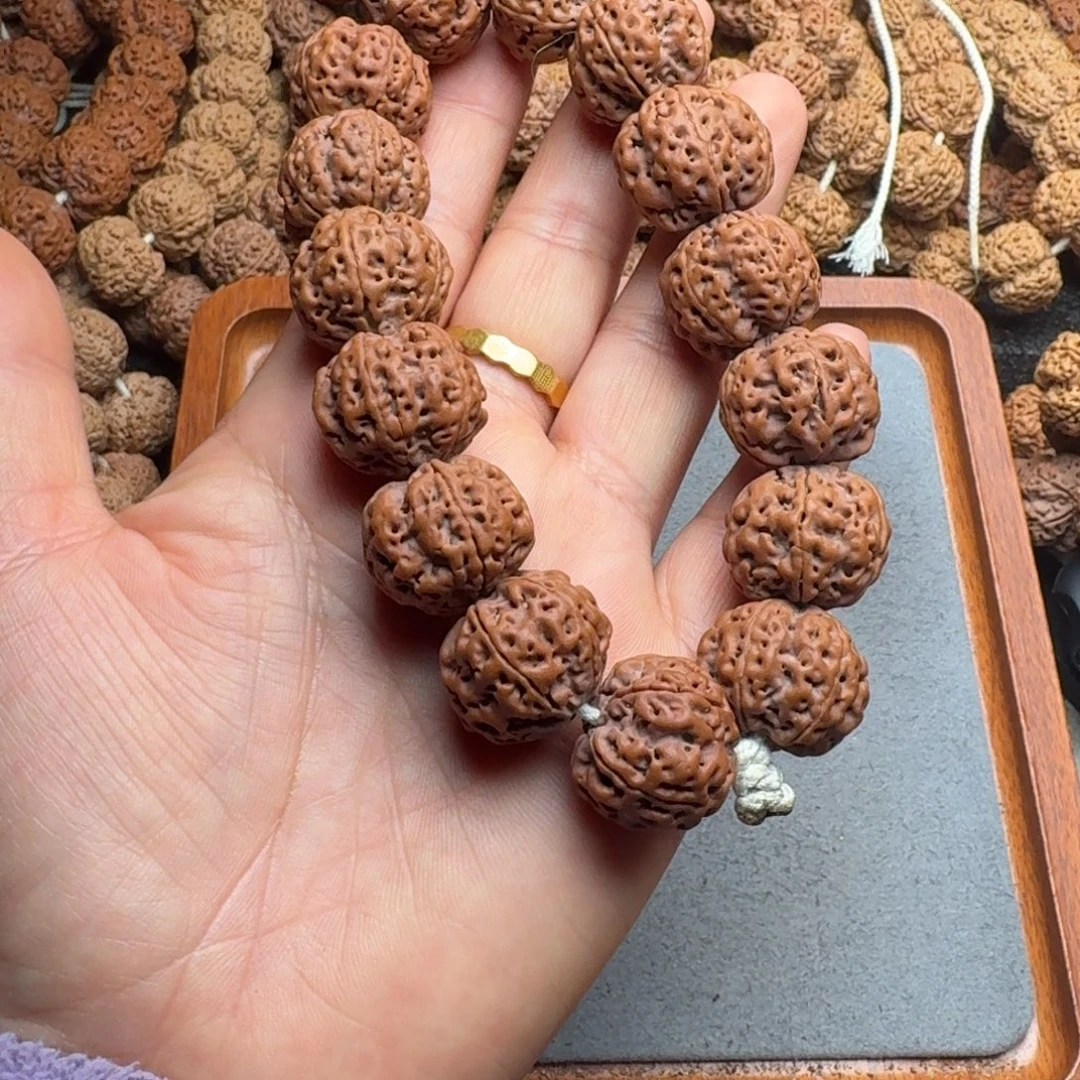 嘉***选菩提菩提15号尼泊尔大金刚21+/22爆肉梅花