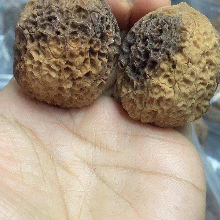 把件文玩核桃云南铁核桃基地30