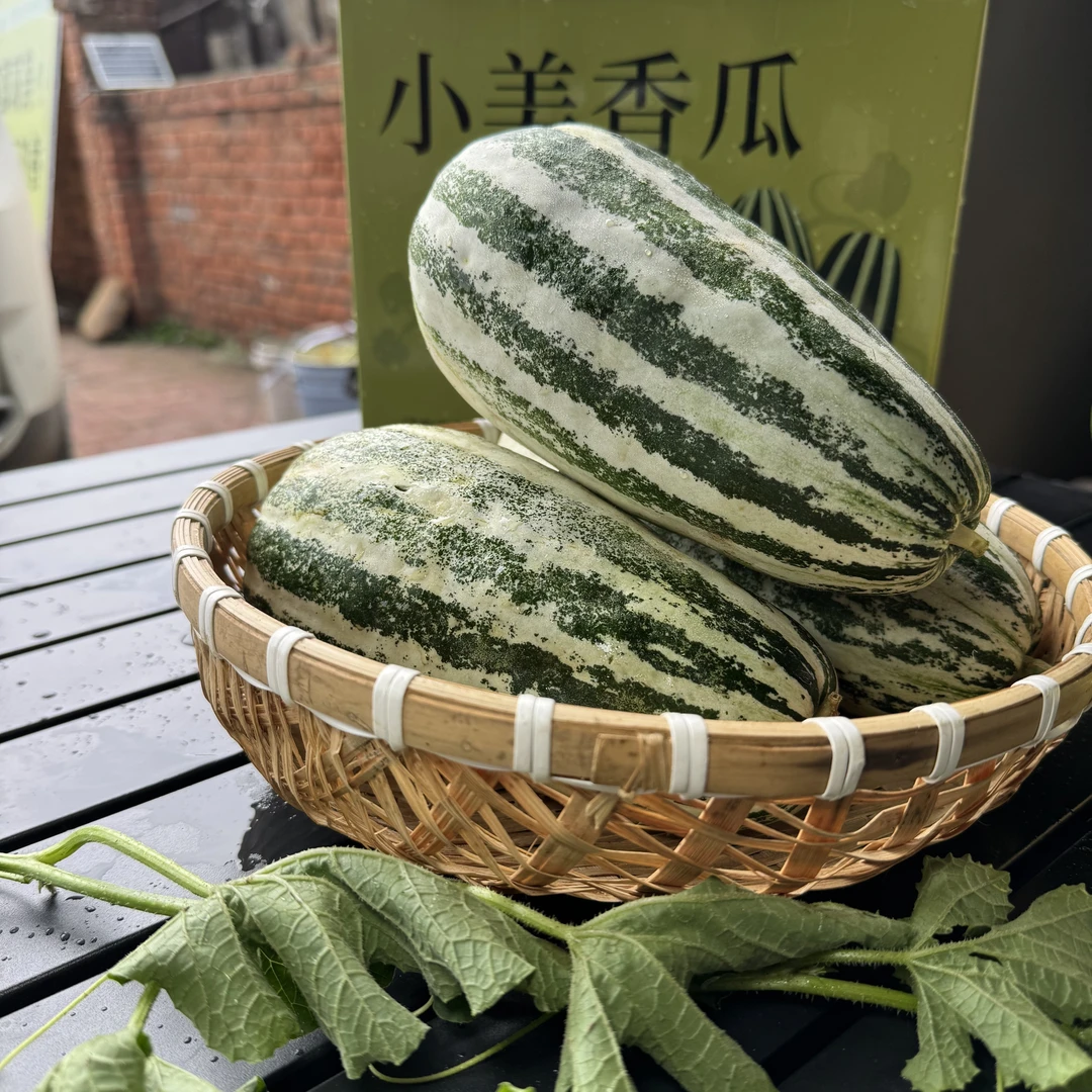 东北甜香瓜 小美玉娇自己种植甜脆香瓜 小甜瓜10斤箱装