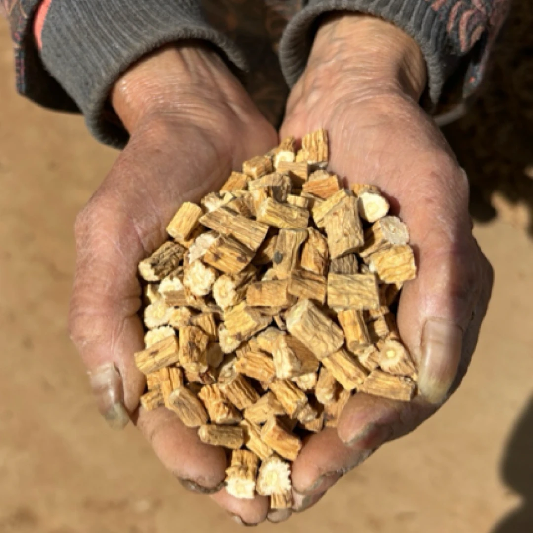 种植干货党参段100g买一送一发两罐