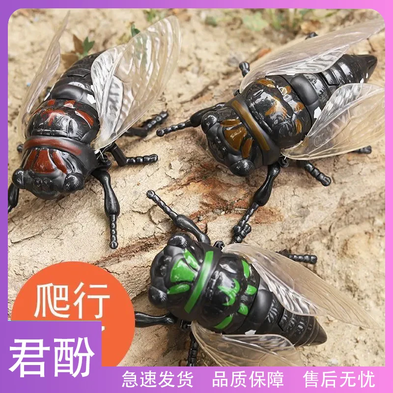 君酚-上链发条行驶仿真金蝉子创意新奇搞笑小玩具模型仿真知了