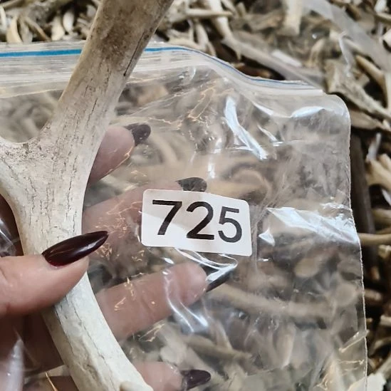 工***箱鹿角鹿角鹿角鹿角鹿角鹿角