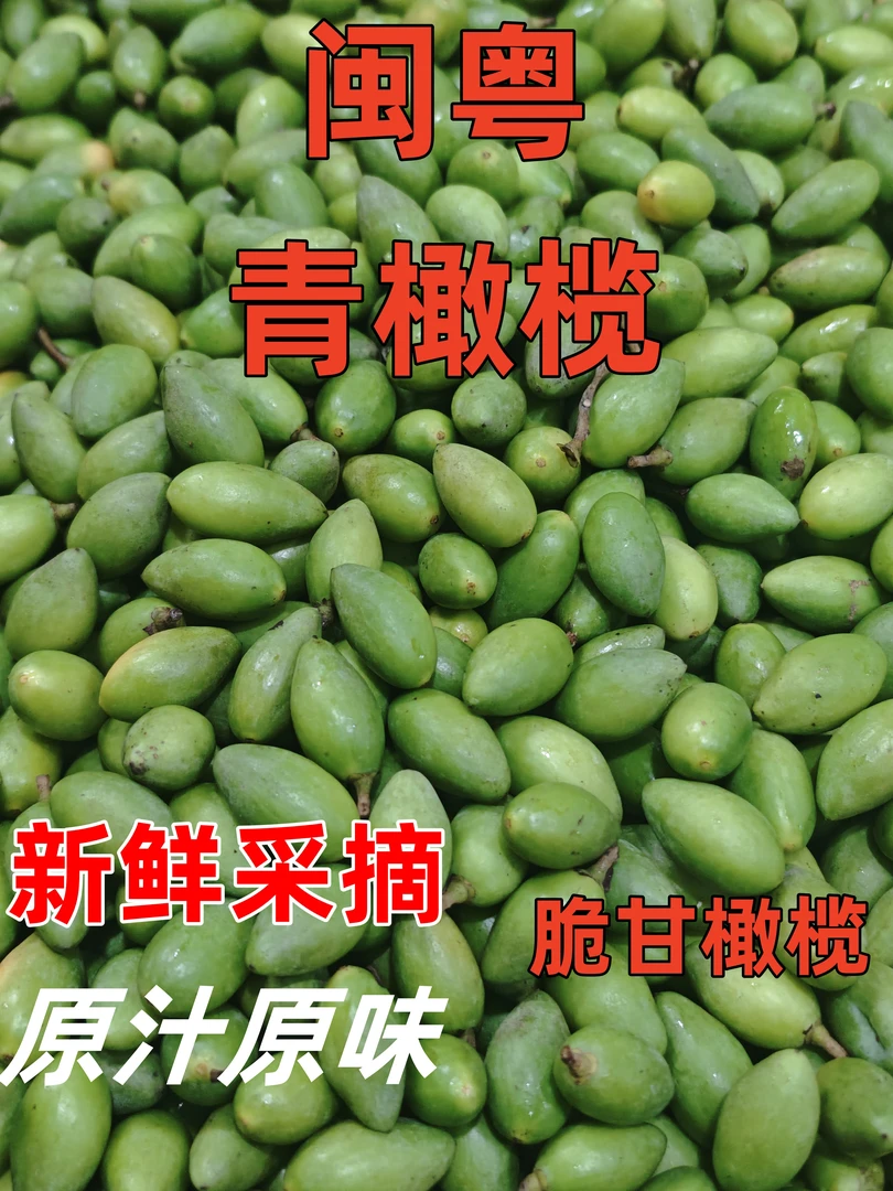 闽粤青橄榄店 特脆甘青橄榄新鲜采摘生吃