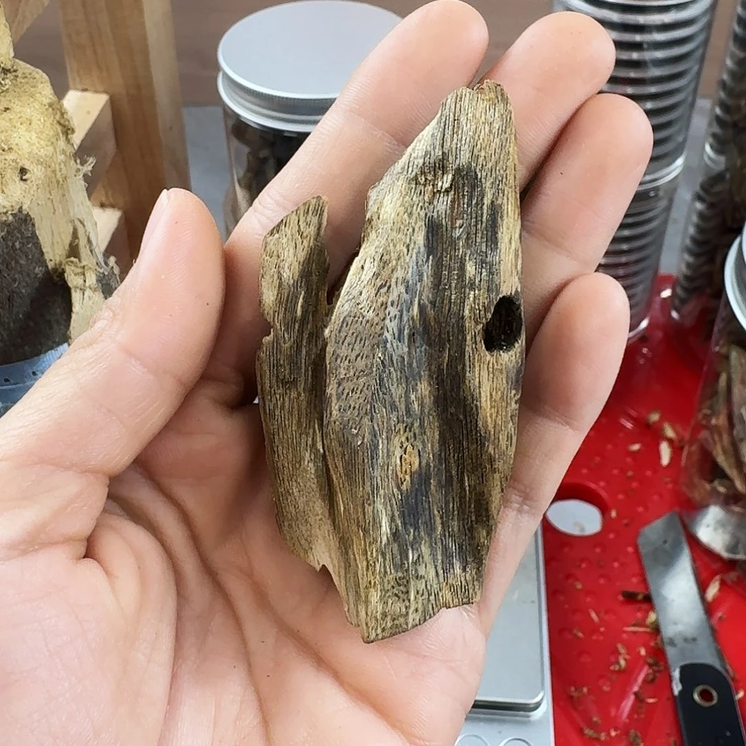 香料绿奇楠虫漏张勺子8克