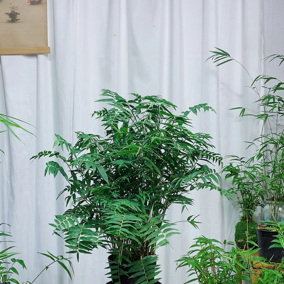 完全开放11111111111111111111111111