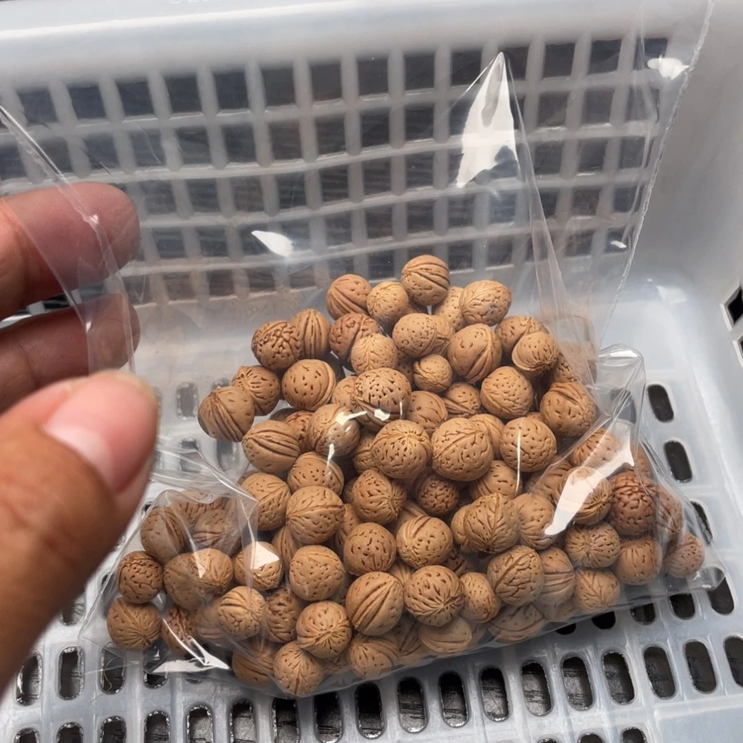 【闪购商品】飞**生私人定制30