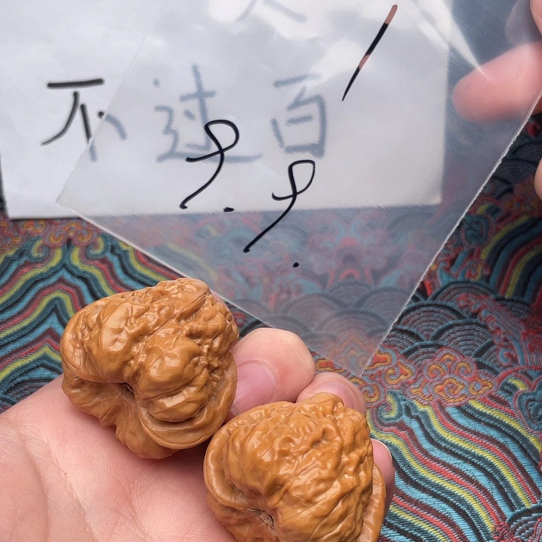 核桃哈哈哈哈哈哈哈哈哈哈