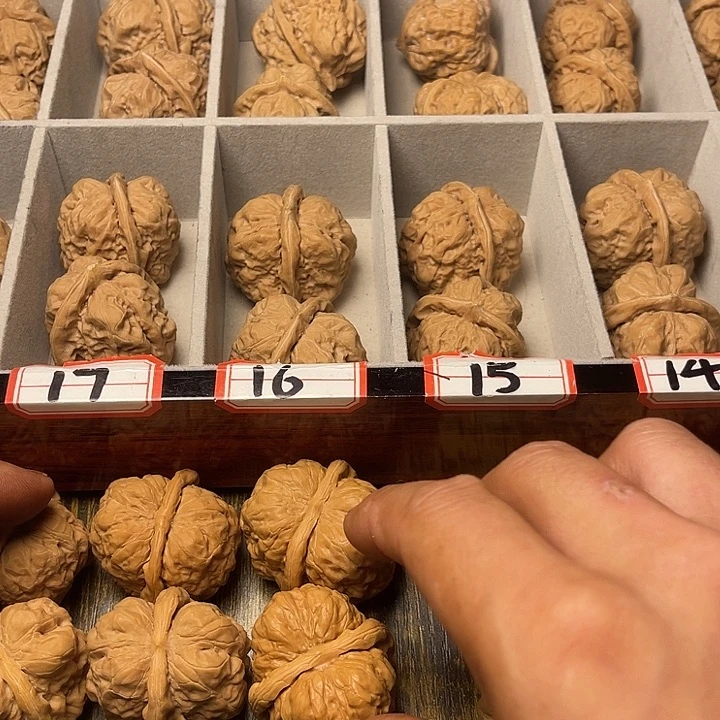 大叶紫檀（黑酸枝木类）