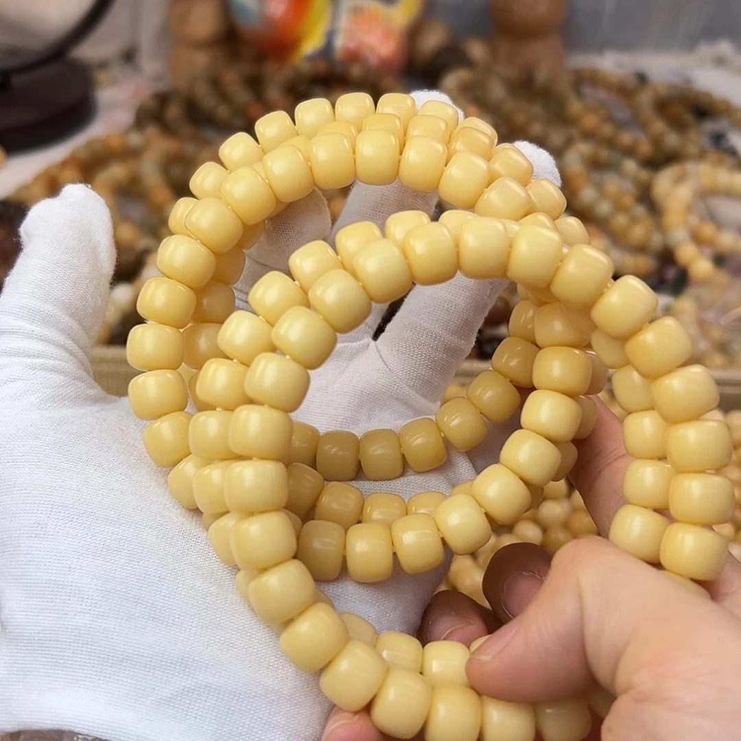 吊坠菩提根/象牙果11干磨小树王563