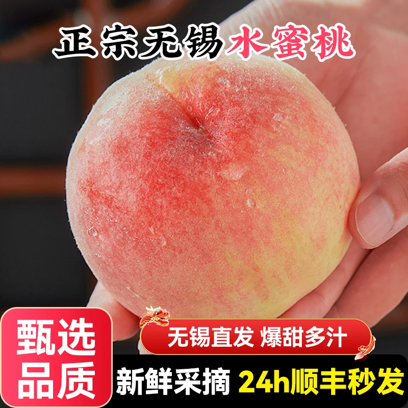 【4-5两8个】正宗无锡水蜜桃湖景新鲜水果当季整箱山礼盒
