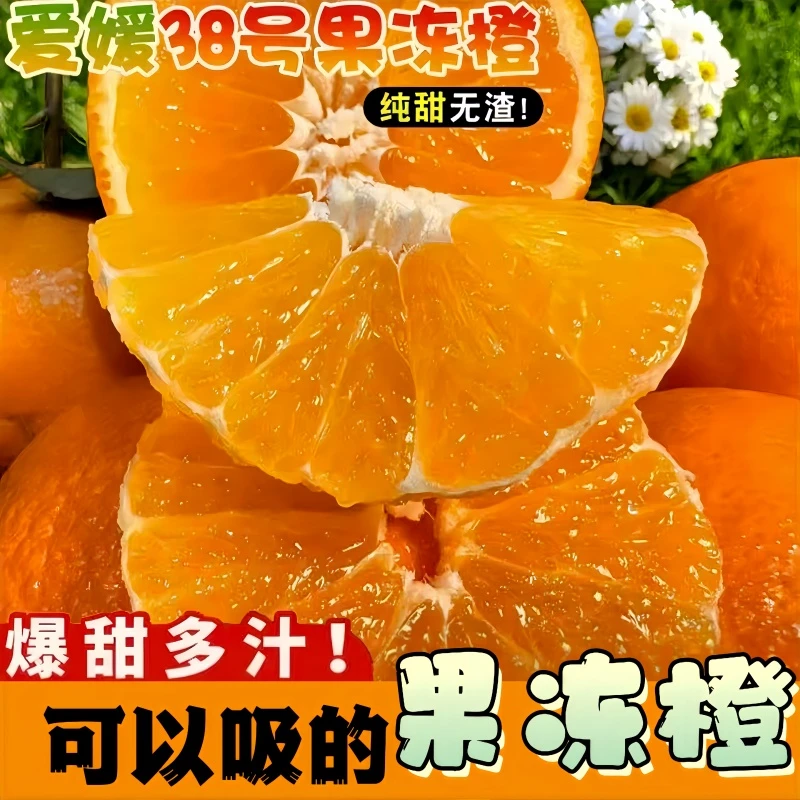 正宗四川38号爱媛果冻橙清甜爆汁新鲜采摘橙子整箱大果当季水果