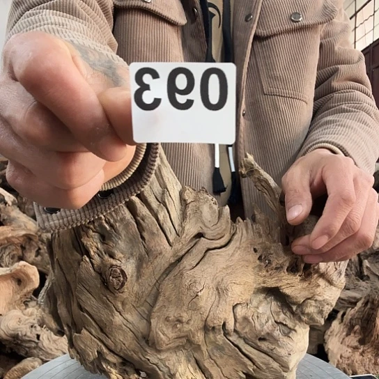 S*N紫砂噜啦啦啦啦啦啦