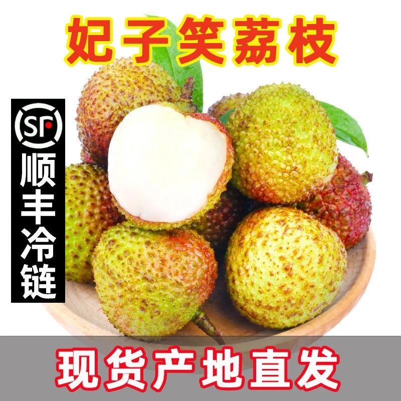 【现货顺丰冷链】海南妃子笑荔枝头茬新鲜水果现摘3/5斤多仓发