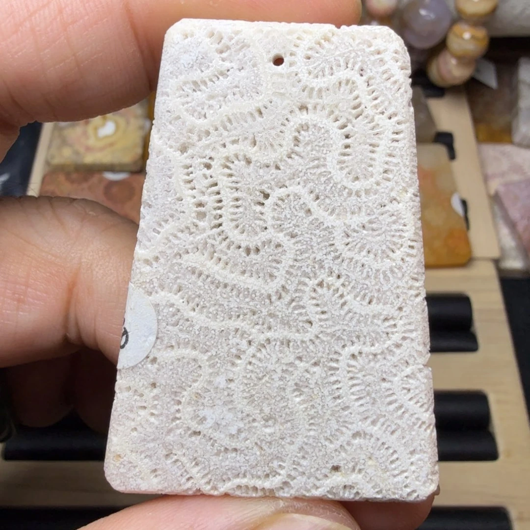 硅化玉未镶嵌纯天然色有机玉石保真色龙骨纹骨骼标本