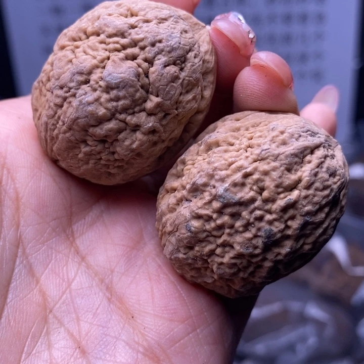 核桃云南野生铁核桃152号35mm