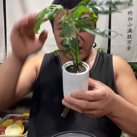 一物一拍所见即所得130