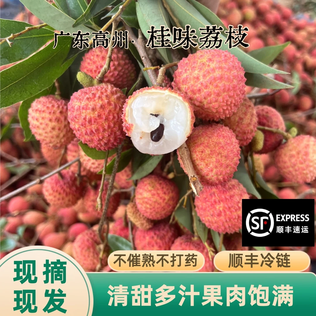 【顺丰冷链】高州桂味荔枝纯甜无酸新鲜现摘当季新鲜水果发大果现摘