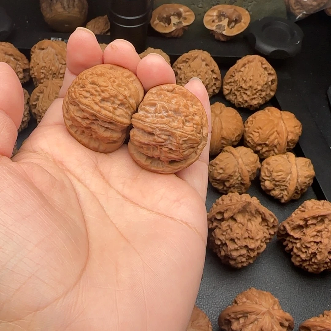 36尺愣子微黄白狮子