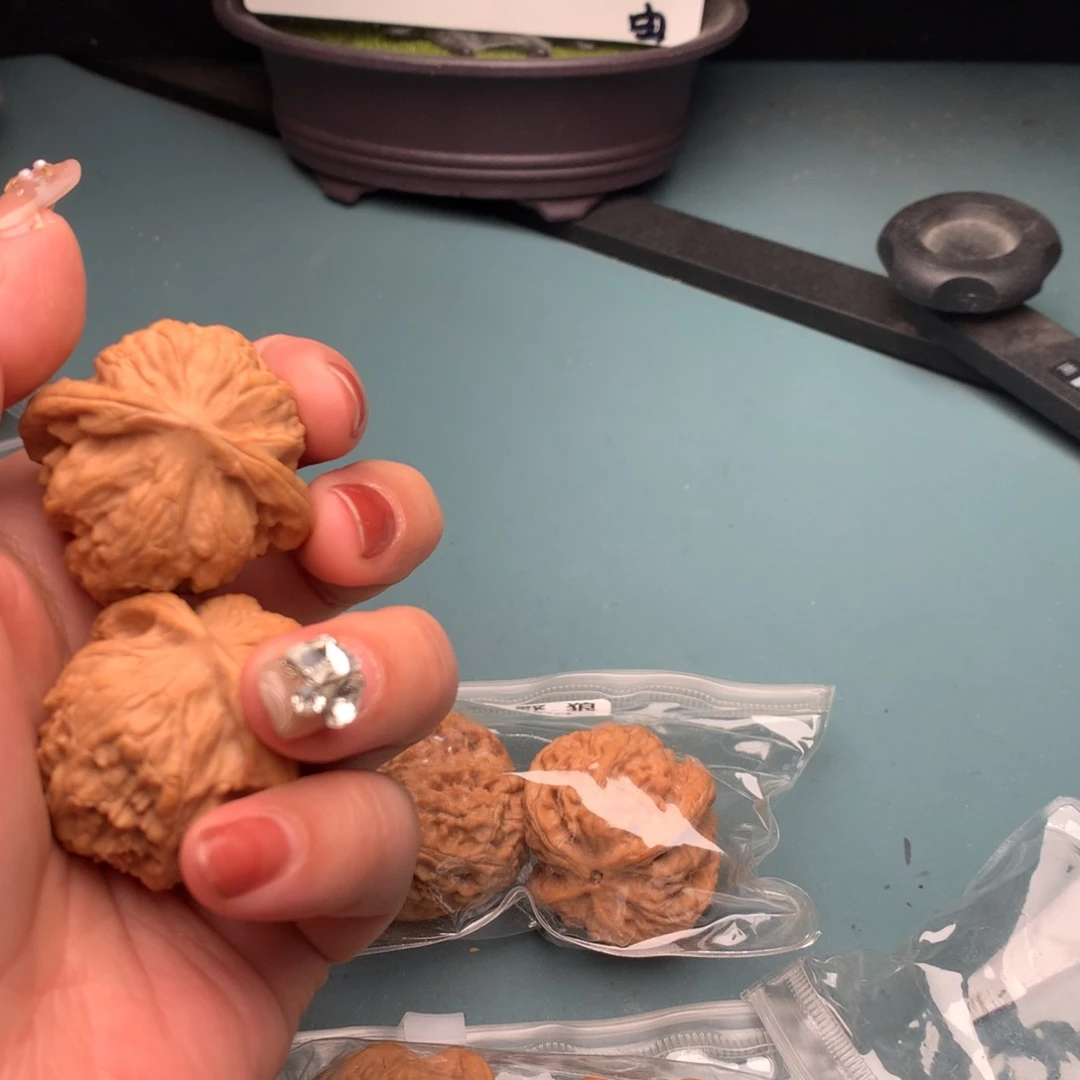 文玩核桃把件野狼39左右