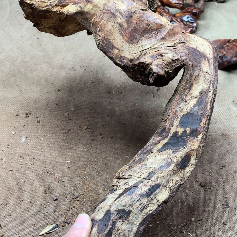 【闪购商品】黄花梨/降香黄檀奇**石原材料供应充足