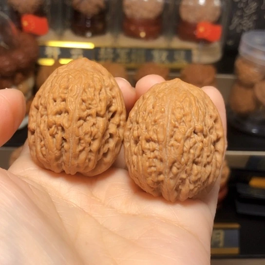 野生小众：滚石全