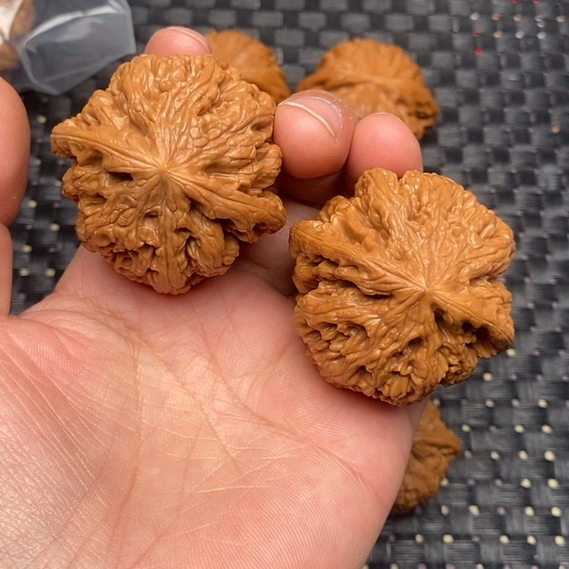 【闪购商品】核桃粗筋45