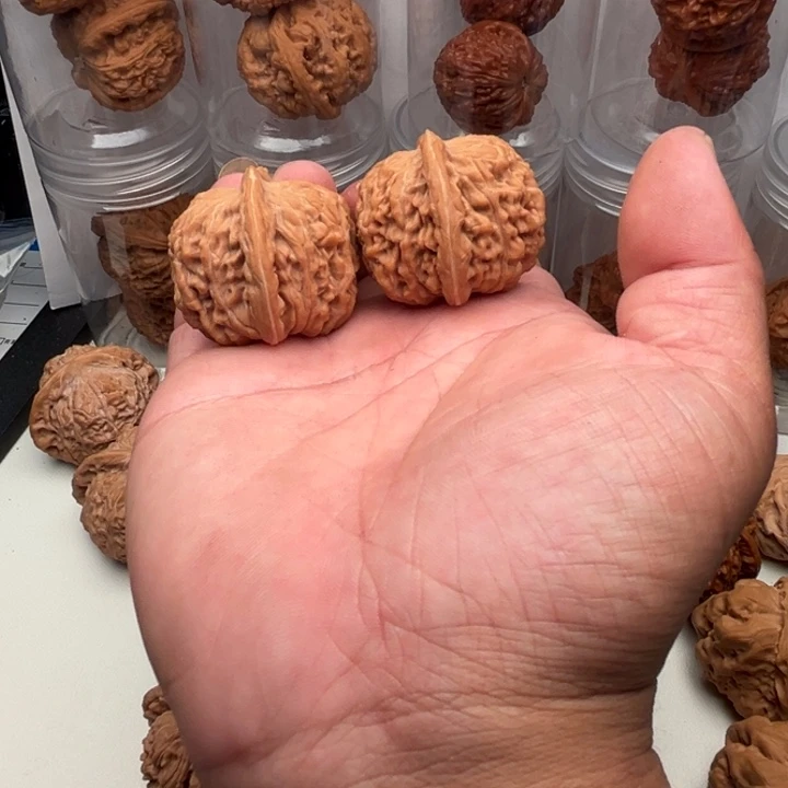 摆件摆件摆件摆件摆件