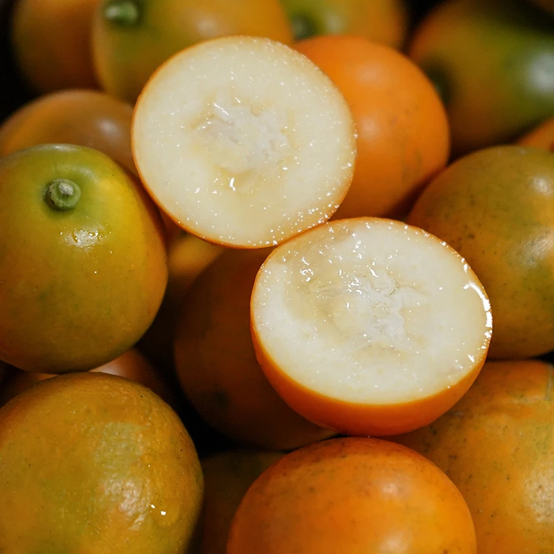 A2顺丰包邮【广西融安二代滑皮金桔】新鲜现摘当季水果脆甜爆汁纯甜