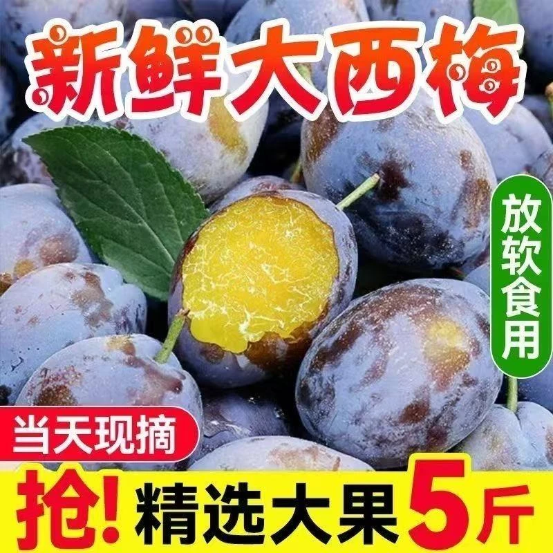汉源正宗蓝蜜新鲜西梅香甜多汁应季水果 孕妇老人爱吃现摘现发