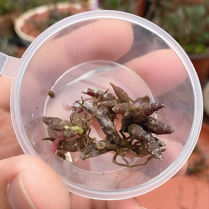 管*婆米铁11111111111