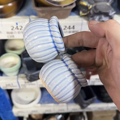 ···2个处理······1
