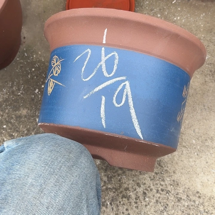 紫砂花瓶紫砂等珍贵