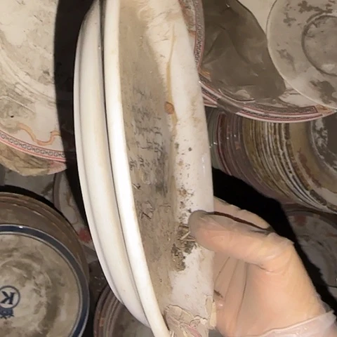 瓷片国营厂库存微瑕21厘米