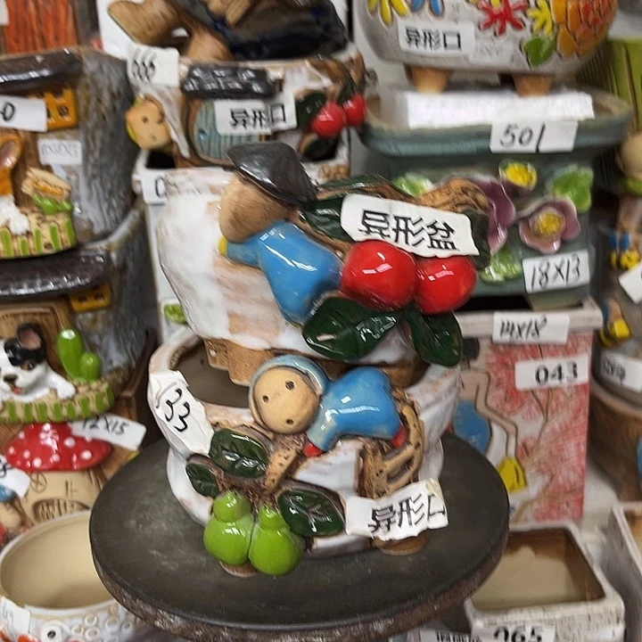 粗陶材质多肉花盆