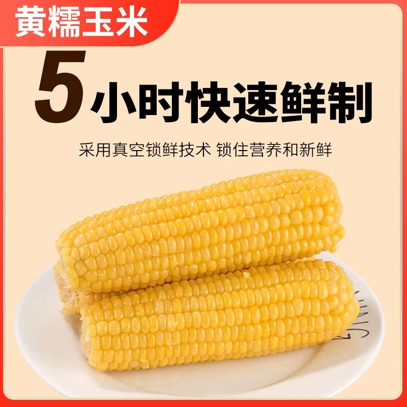 【试吃2根】东北糯玉米香糯玉米真空包装黄糯玉米粘玉米温泉糯玉米