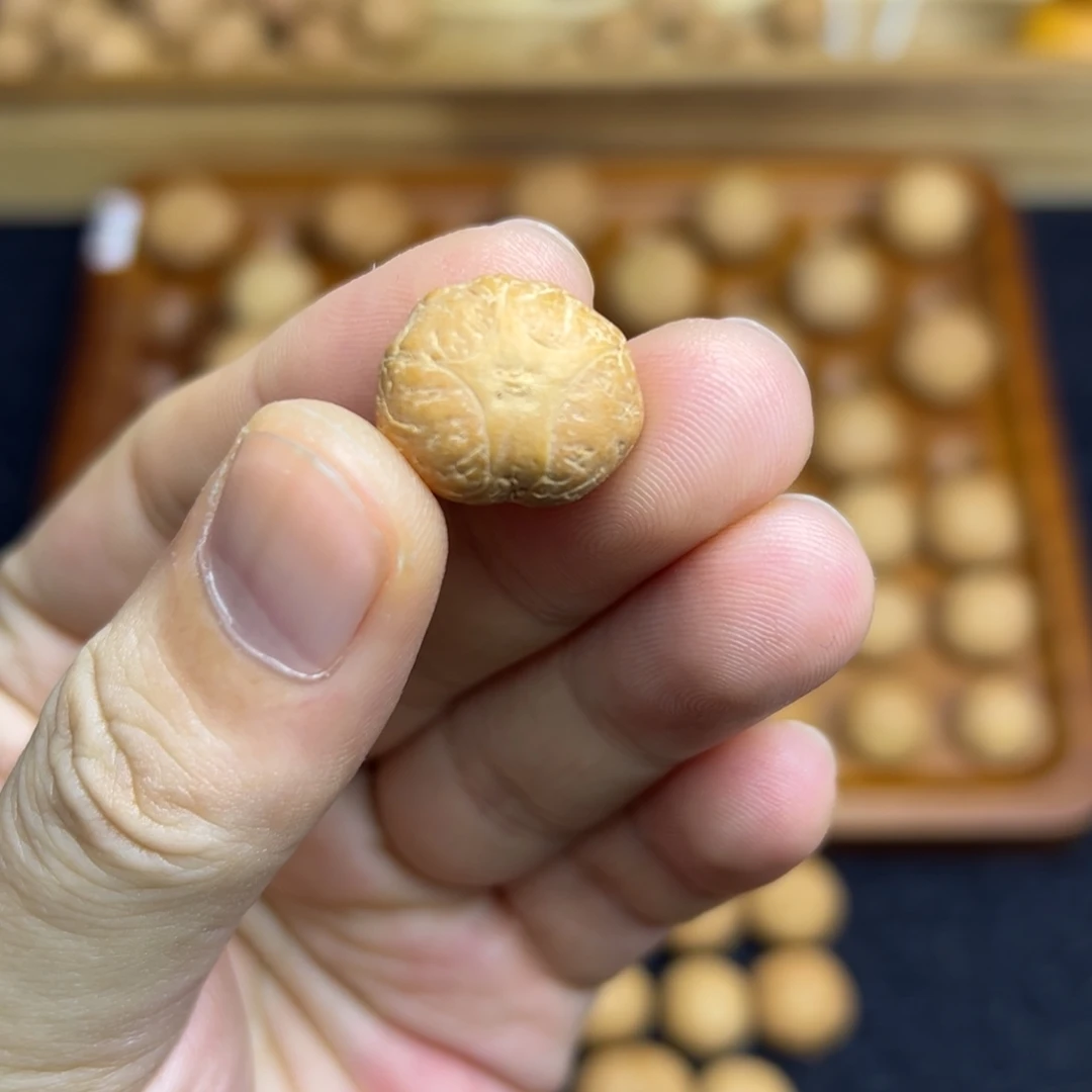 凤眼菩提手串17.8五星上将