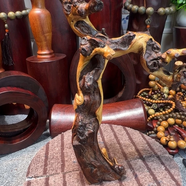 清***煮大果紫檀（缅甸花梨）