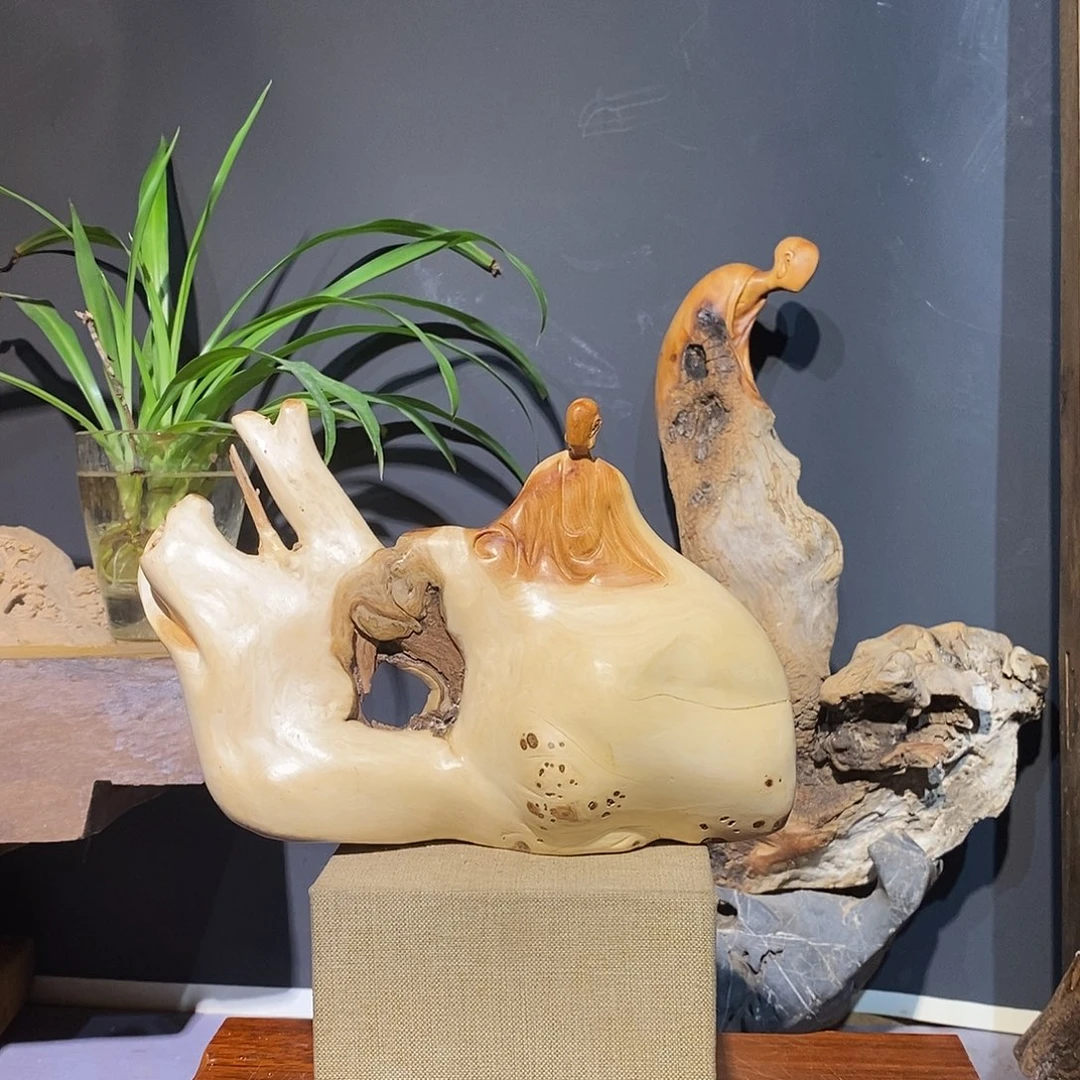 柏木太行崖柏128128